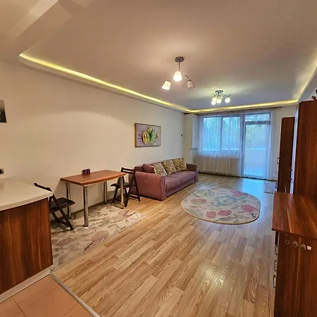 Apartman Elena Isaran - Coresi