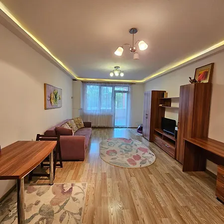 Elena Isaran - Coresi Apartman Brassó