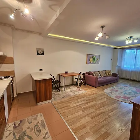 Elena Isaran - Coresi Apartman